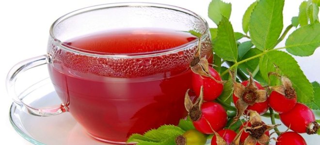 Как сделать отвар с шиповника Как сделать отвар с шиповника