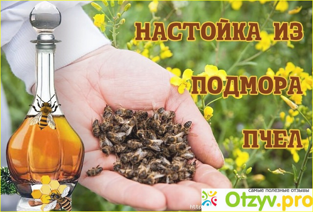 Как сделать настойку на подморе пчел