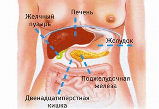При обострении поджелудочную железу как лечить При обострении поджелудочную железу как лечить