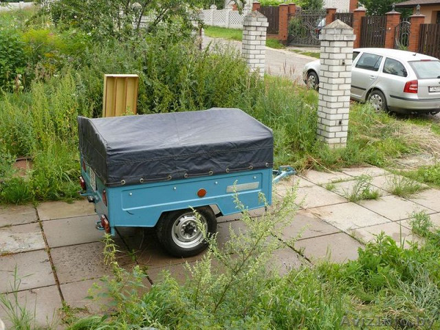 f_zubr_4_20112707164840.jpg