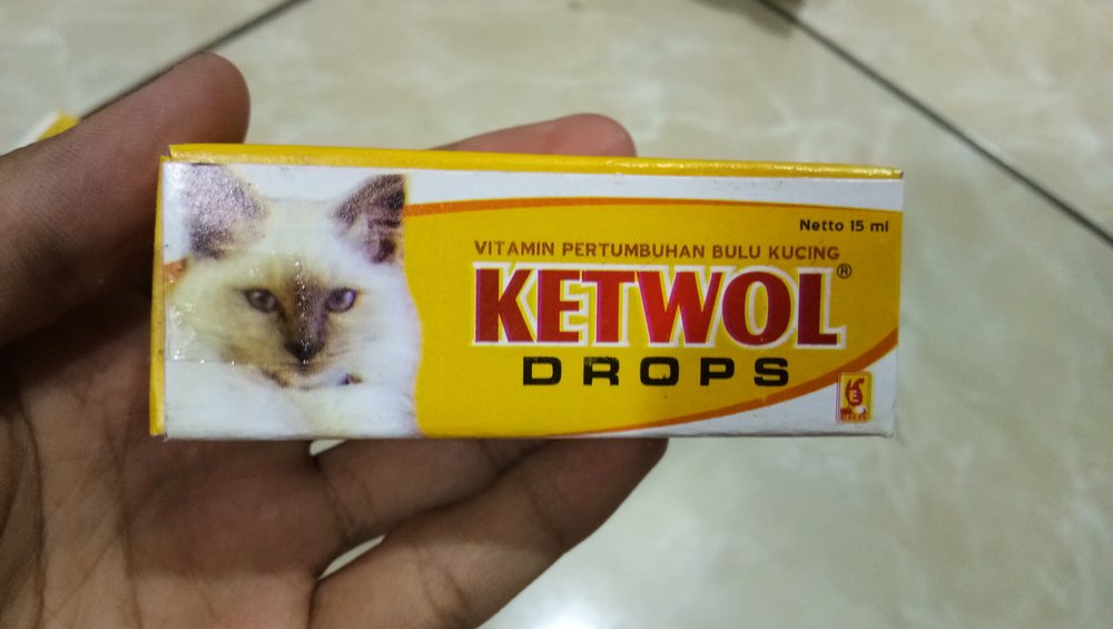 harga obat diazepam untuk kucing
