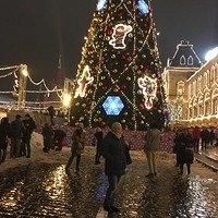 Фото Светлана Куркина