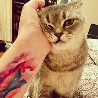 Фото Кристина Дмитриева