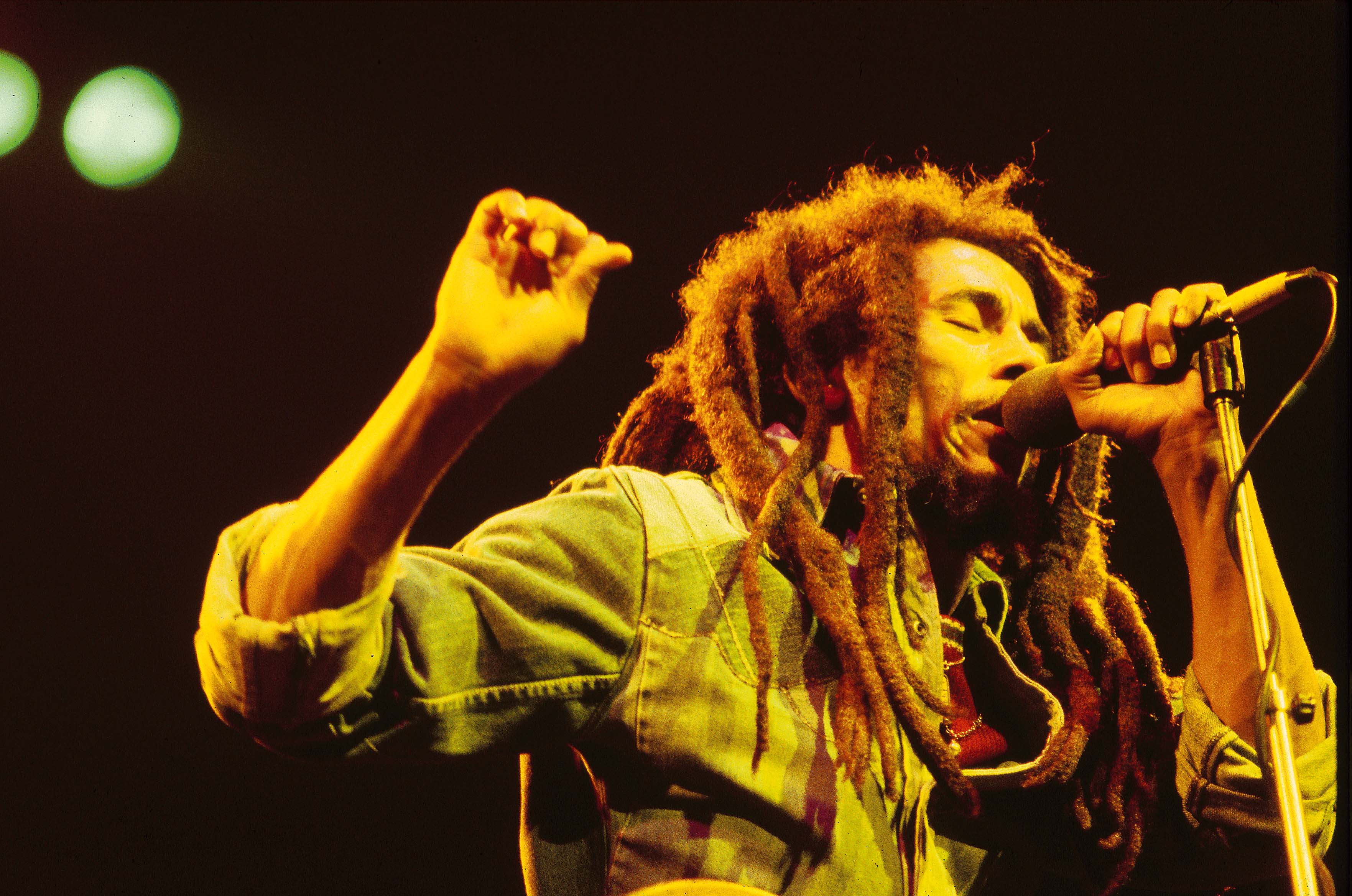 Reggae bob