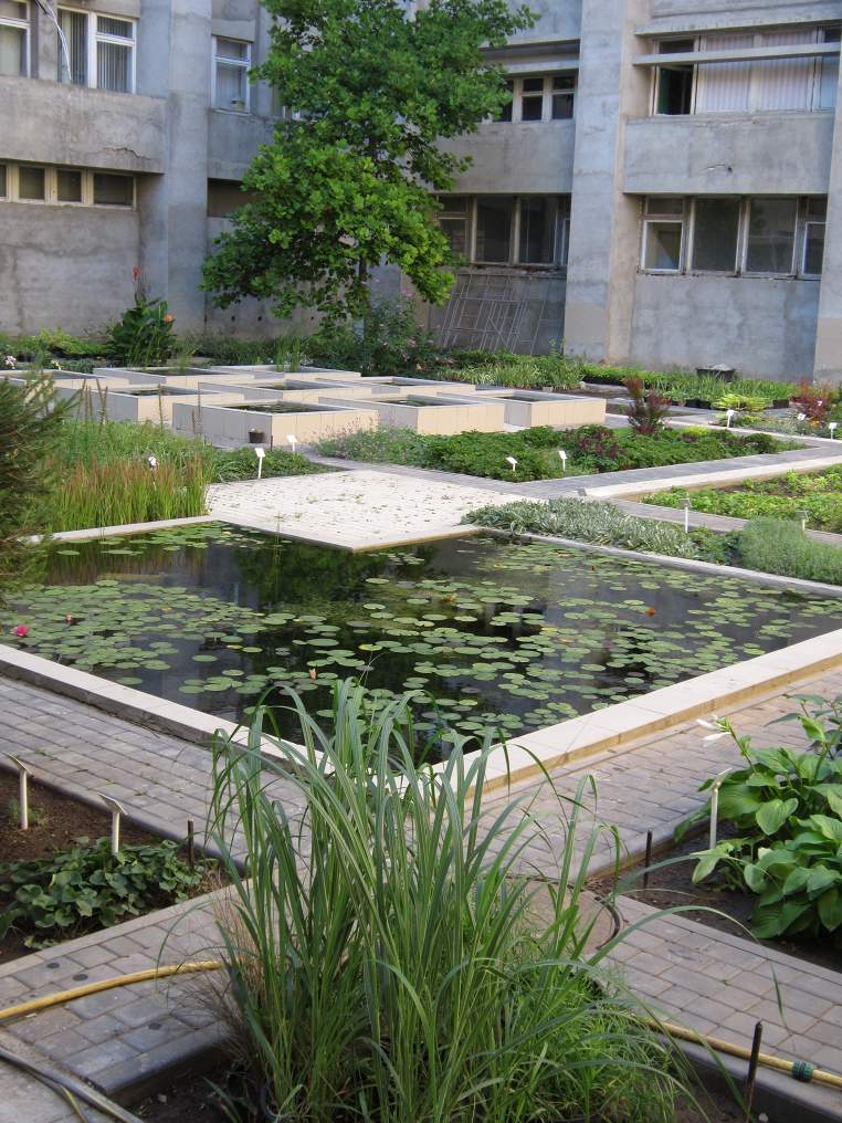 набережная реки волги в энгельса. газ 2410 зеленая. сады волги. газ 24 зеленая. сады волги.