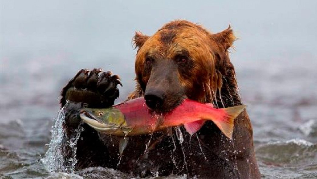 Выставка 100 чудес света – Афиша-Музеи