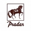 Логотип - Место Pradar
