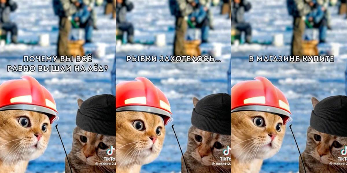 Мем, который может спасти жизнь: как МЧС Беларуси объясняет правила на котятах