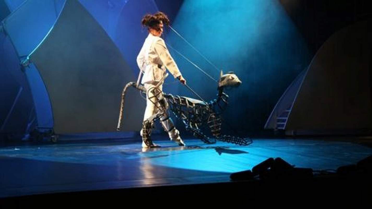 Петя и волк и не только!!!, отзывы на спектакль