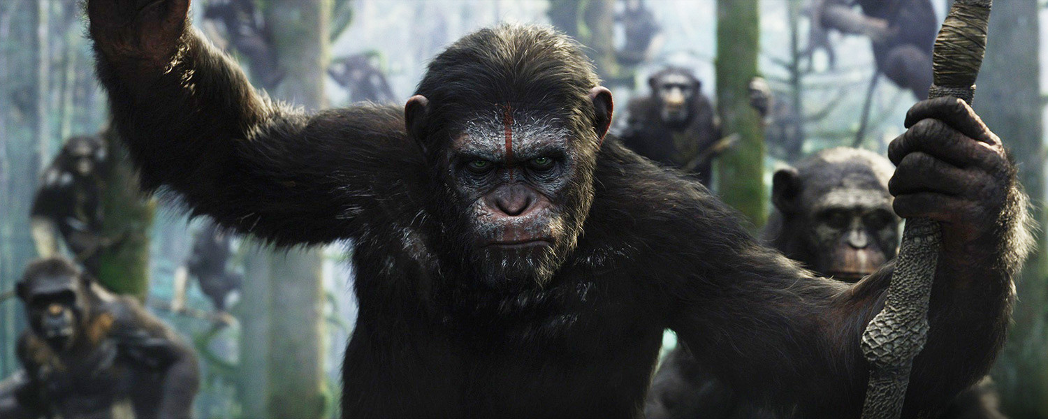 Новая «Планета обезьян»: расхождения видов
