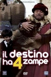 Четвероногая звезда / Il Destino ha 4 zampe