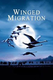 Птицы / Le peuple migrateur