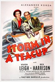 Буря в стакане воды / Storm in a Teacup