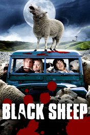 Паршивая овца / Black Sheep