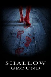 Месть мертвецов / Shallow Ground