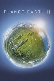 Планета Земля. Часть 2 / Planet Earth II