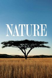 Природа / Nature
