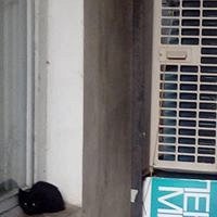 Фото Татьяна Зимакова