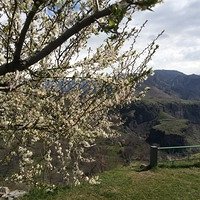 Фото Манька Облигация