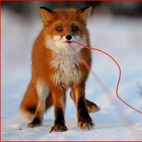 Фото Виктория Жилина