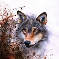 Фото Регул Андрей