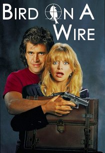 Птичка на проводе