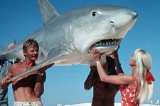 Игры с акулами – афиша