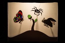 Жук, паук и бабочка – афиша