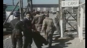 Заклятые друзья