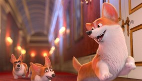 Королевский корги