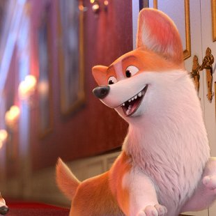 Королевский корги