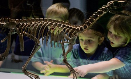 Музеи, в которых можно отметить день рождения ребенка