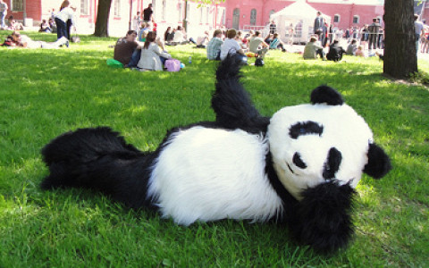 Йога, панды, гамаки, 3D-принтеры, страшилки и другие развлечения на фестивале