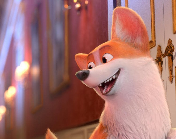 Королевский корги