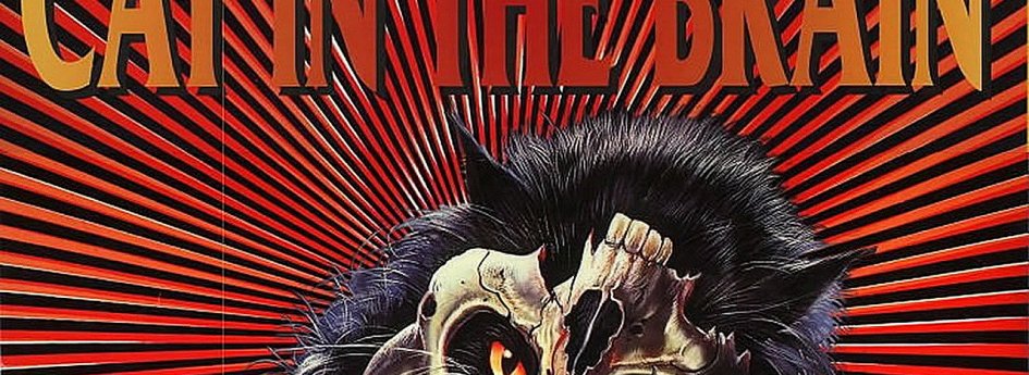 Кино: «Кошмарный концерт» Кино: «Кошмарный концерт»