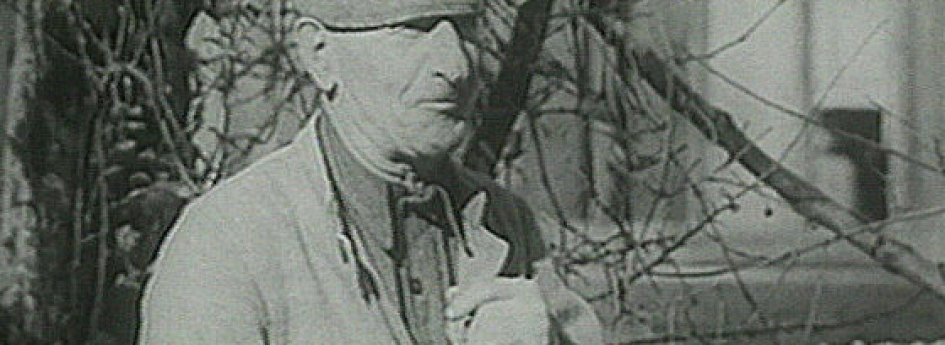 Фильм «Пастораль» Кино: «Пастораль»