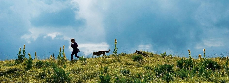 Фильм «Лисенок и девочка» Кино: «Лисенок и девочка»