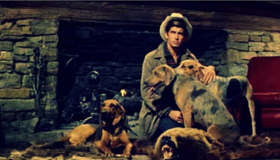 Кино: «Домой с холма» Кино: «Домой с холма»