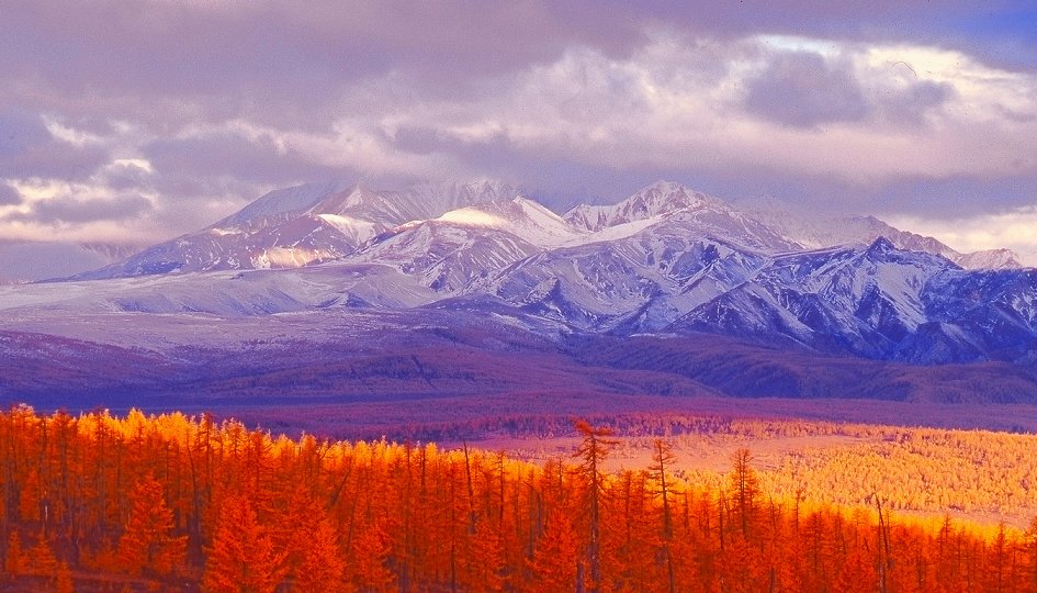 Выставки: Борис Дмитриев. Мой путь Выставки: Борис Дмитриев. Мой путь