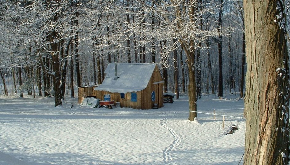Кино: «Снег» Кино: «Снег»