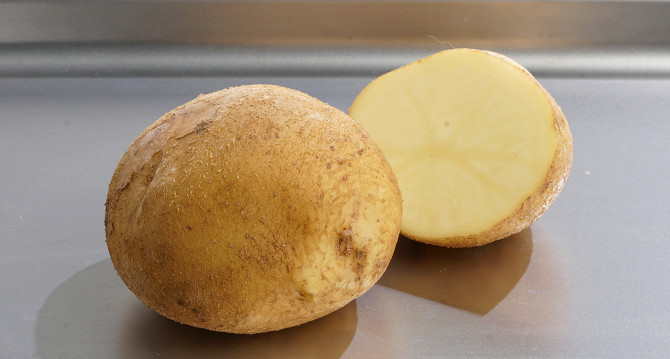 Картофель маделина фото