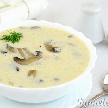 Рецепт Крем суп из белых грибов