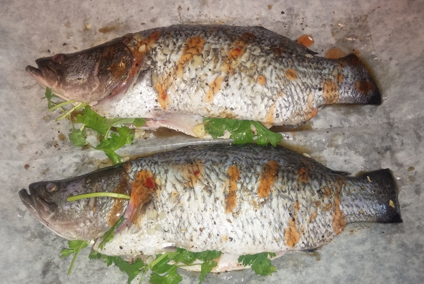 Баррамунди с овощами по-азиатски