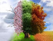 Времена года. Антонио Вивальди Времена года. Антонио Вивальди